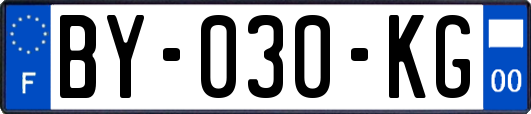 BY-030-KG