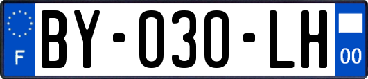 BY-030-LH