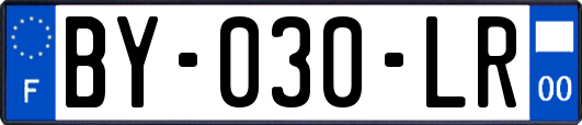 BY-030-LR