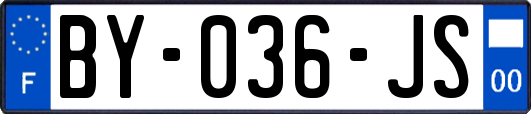 BY-036-JS