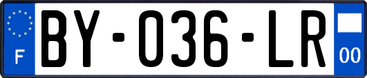 BY-036-LR