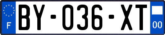 BY-036-XT