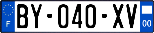 BY-040-XV