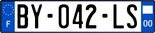 BY-042-LS