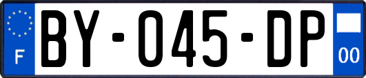 BY-045-DP