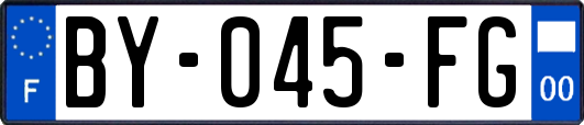 BY-045-FG