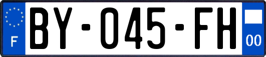 BY-045-FH