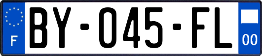 BY-045-FL