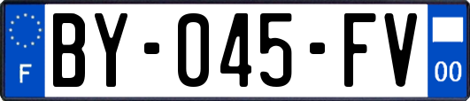 BY-045-FV