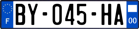 BY-045-HA