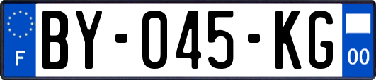 BY-045-KG