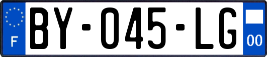 BY-045-LG