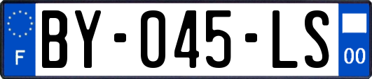 BY-045-LS