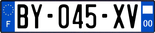 BY-045-XV