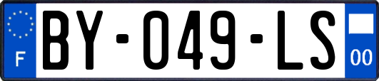 BY-049-LS