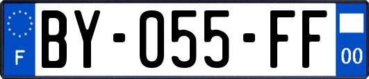 BY-055-FF