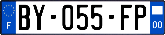 BY-055-FP