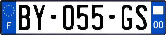 BY-055-GS