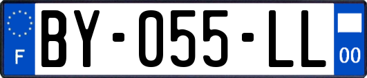 BY-055-LL