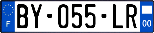 BY-055-LR