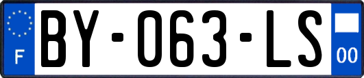 BY-063-LS