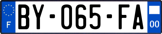 BY-065-FA