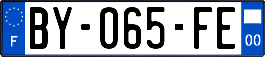 BY-065-FE