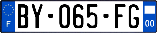 BY-065-FG