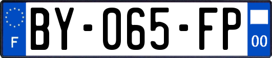 BY-065-FP