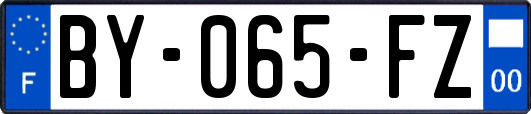 BY-065-FZ