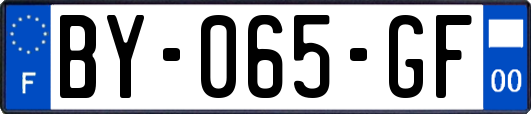 BY-065-GF