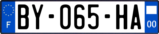 BY-065-HA