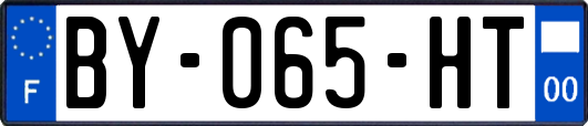 BY-065-HT