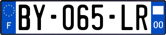 BY-065-LR
