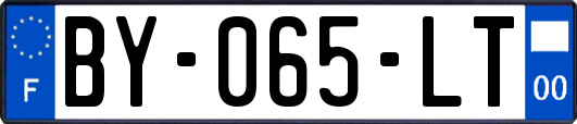 BY-065-LT