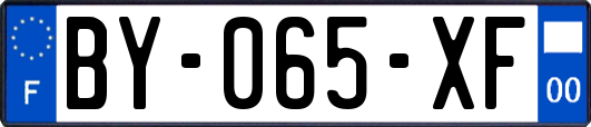BY-065-XF