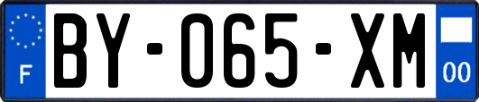 BY-065-XM
