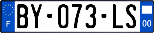 BY-073-LS