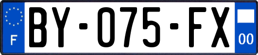 BY-075-FX
