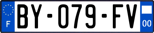 BY-079-FV