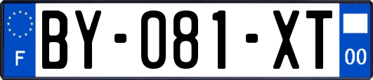 BY-081-XT