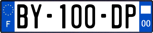BY-100-DP