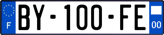 BY-100-FE