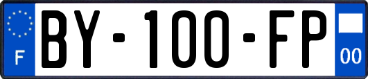 BY-100-FP