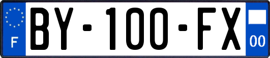 BY-100-FX