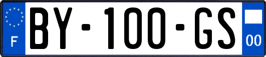 BY-100-GS