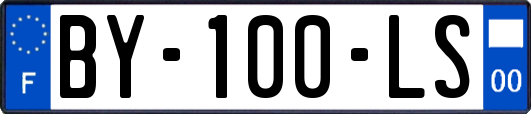BY-100-LS