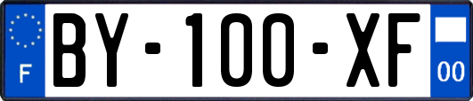 BY-100-XF