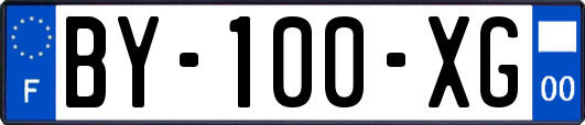 BY-100-XG
