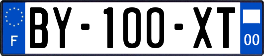 BY-100-XT